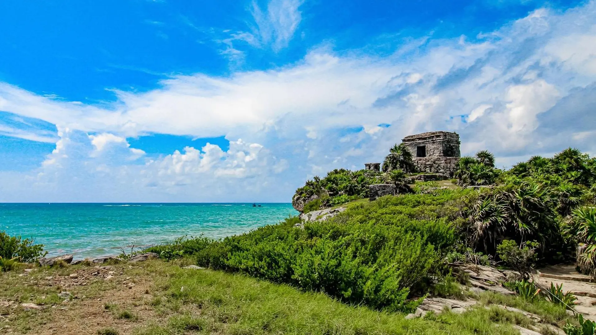 Casa Xila Torre Jungla 304 Apartment Tulum Mexico